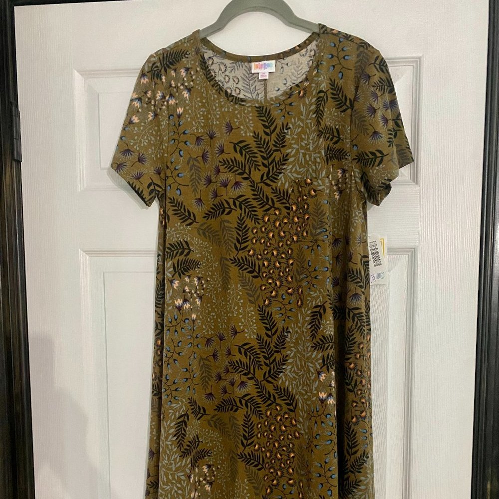 NWT Lularoe Carly - M